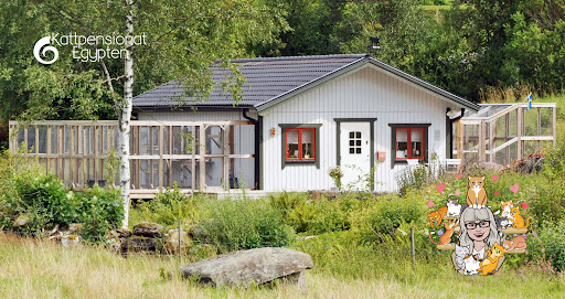 Cattery Egypt - Pet boarding service in Sweden