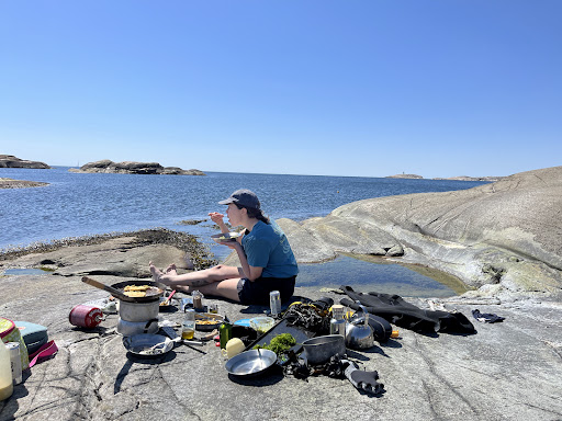 Catxalot AB - Travel agency in Sweden