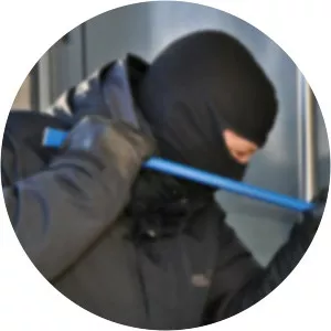 Criminals Caught On Camera - 2013 ‧ Special Interest ‧ 5 seasons