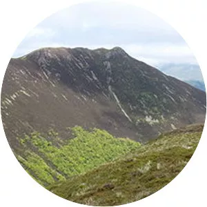 Causey Pike - Summit in England
