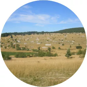 Causse de Sauveterre - 