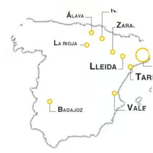 Cava DO - Wine style