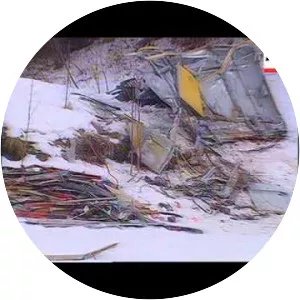 Cavalese cable car disaster - 1998