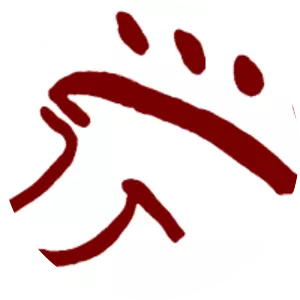 Cave of La Pasiega - 