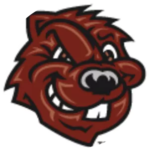 CCNY Beavers men's basketball