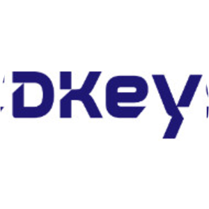 CDKeys - Software developer
