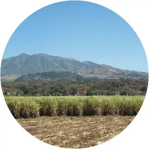 Ceboruco - Stratovolcano in Mexico