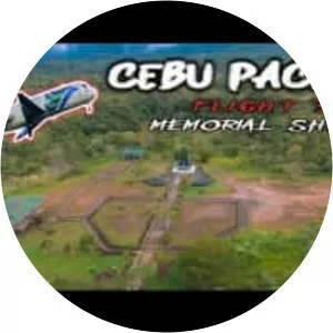 Cebu Pacific Flight 387