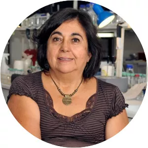 Cecilia Hidalgo Tapia