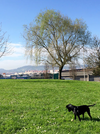 Cecilio Blanco Blanco Park