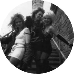 Cedar Street Sluts - Musical artist