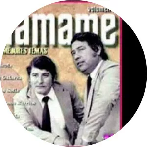 Cejas Solis - Musical artist