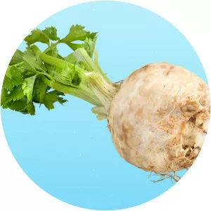 Celeriac