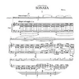 Cello sonata photograph