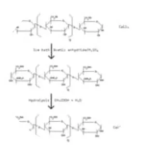 Cellulose acetate photograph