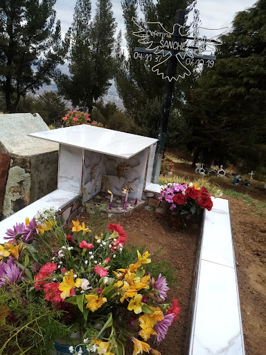 CEMENTERIO COMUNAL LOS ANGELES