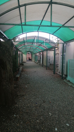 Cementerio de Matahuasi