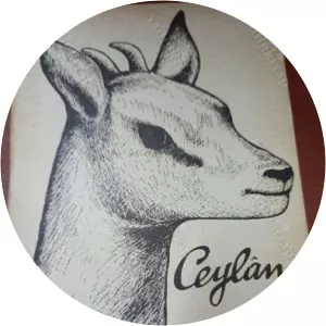 Cemile Doğrul photograph