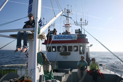 Cemma - Non-governmental organization in Spain