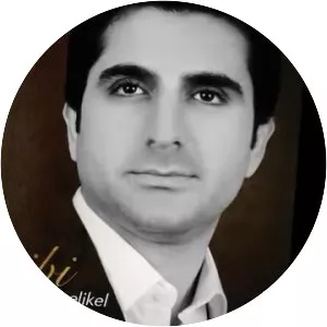 Cengiz Çelikel - Musical artist