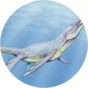 Cenomanian - Geologic time period