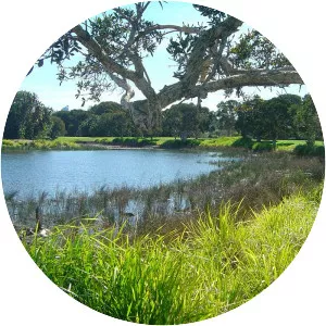 Centennial Park - Australian Suburb