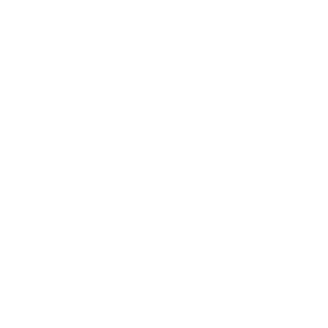 CenterServ International, Ltd