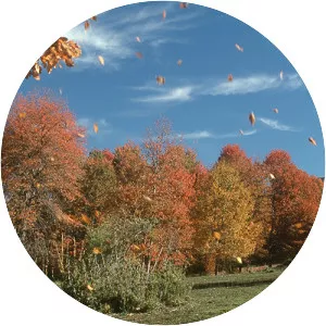 Central Chile photograph