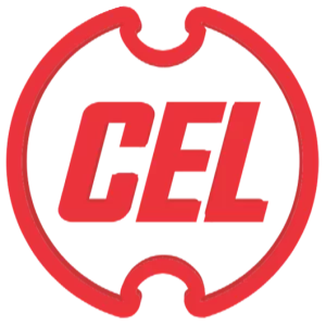 Central Electronics Limited