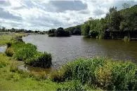 Central Forest Park - 