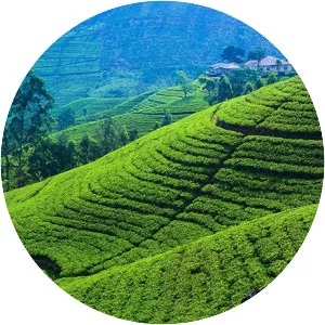 Central Highlands of Sri Lanka - 