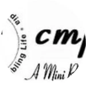 Central Mine Planning and Design Institute