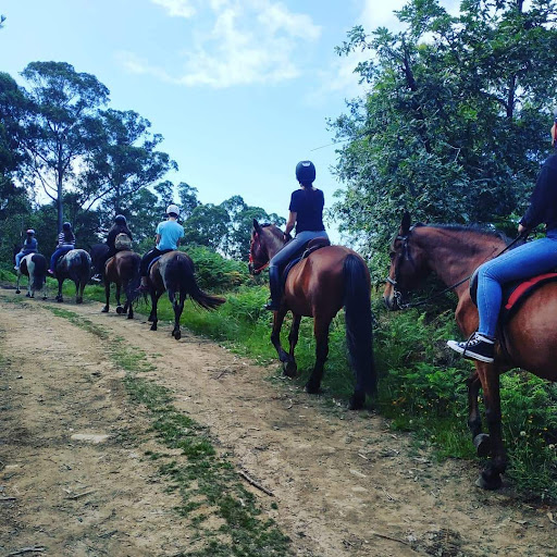 Centro ecuestre as Leborias - Horse riding school in Spain