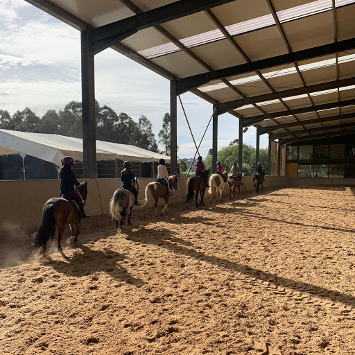 Centro Ecuestre Finca Abrigosa - Equestrian club in Spain