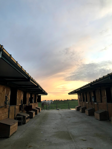 Centro Hipico Mirasierra