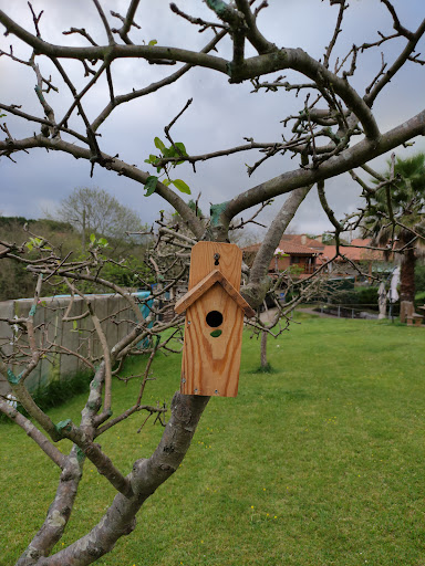 CENTRO PARA MAYORES LOS NOZALES