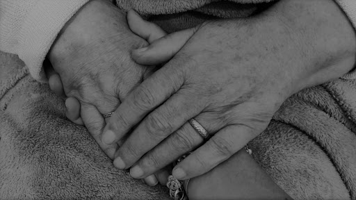 Centro residencial Kaizen - Aged care in Spain