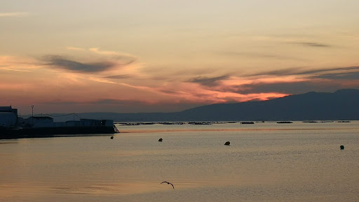 Centro Socio Cultural e Deportivo Vilaxoan