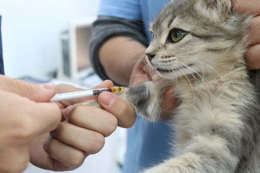 Centro Veterinario Mukay Vallecas