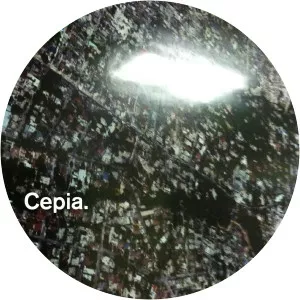 Cepia - Musical artist