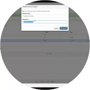 Cerberus FTP Server - 