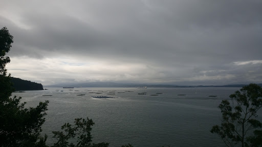 Cercopazos S L - Fishing store in Spain