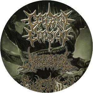 Cerebral Effusion - Musical group