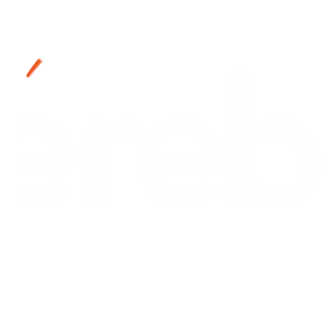 Cerebras Systems Inc.