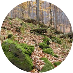 Čerňava - Protected area in Rajnochovice, Czechia