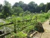 Cerney House Gardens - 