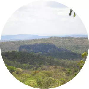 Cerrado - Region in South America