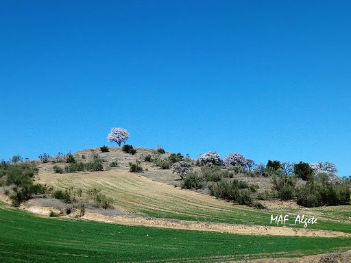 Cerro de la Cuesta Redonda - Hiking area in Spain