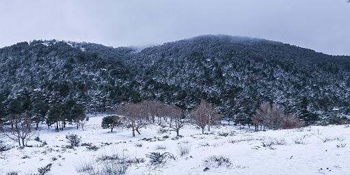 Cerro del Reajo Alto - Hiking area in Spain