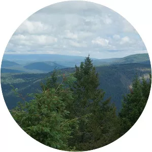 Cerro Grande - Summit in New Mexico